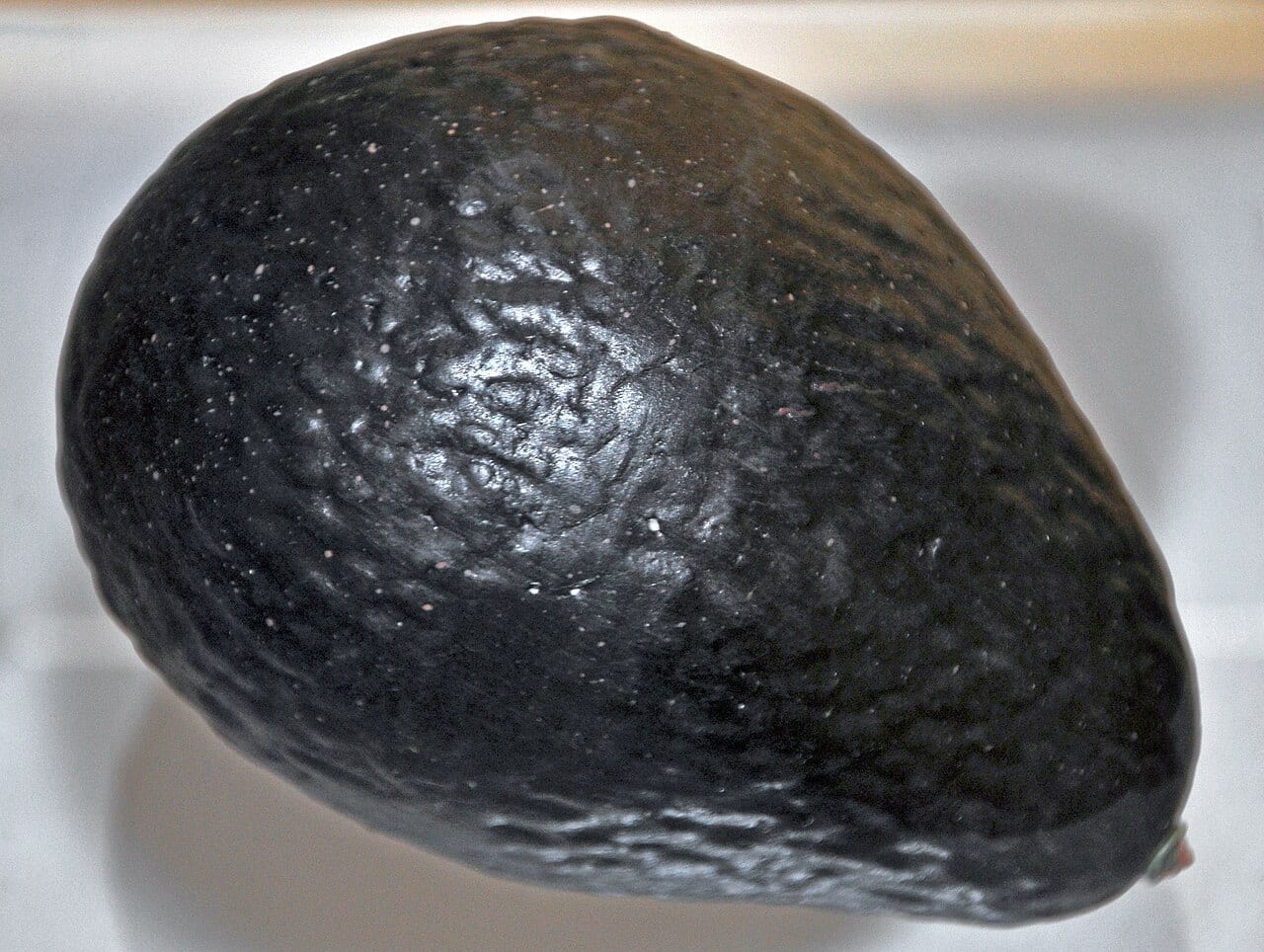 Georgia Records Its First Commercial Avocado Harvest