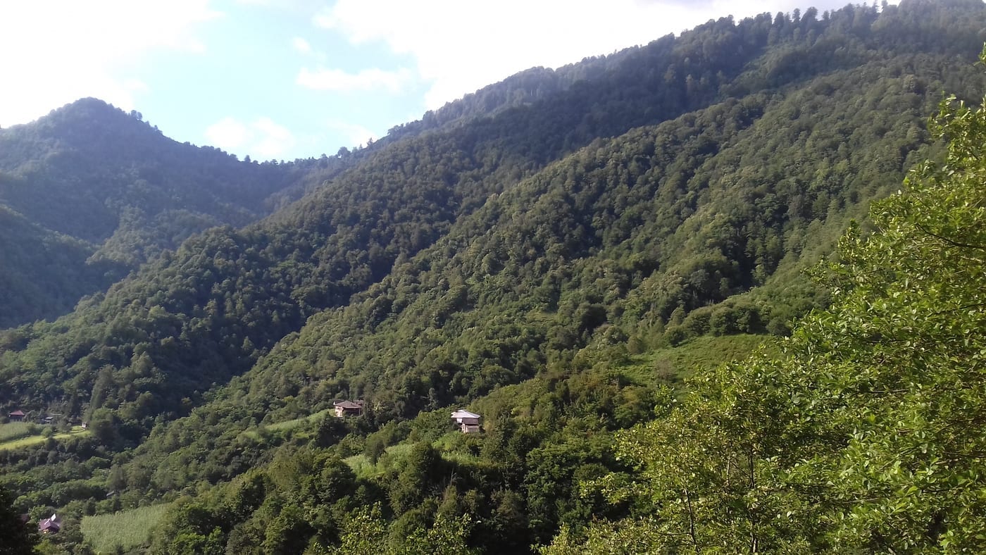 Mtirala National Park: Georgia's Rainforest on the Black Sea Foothills