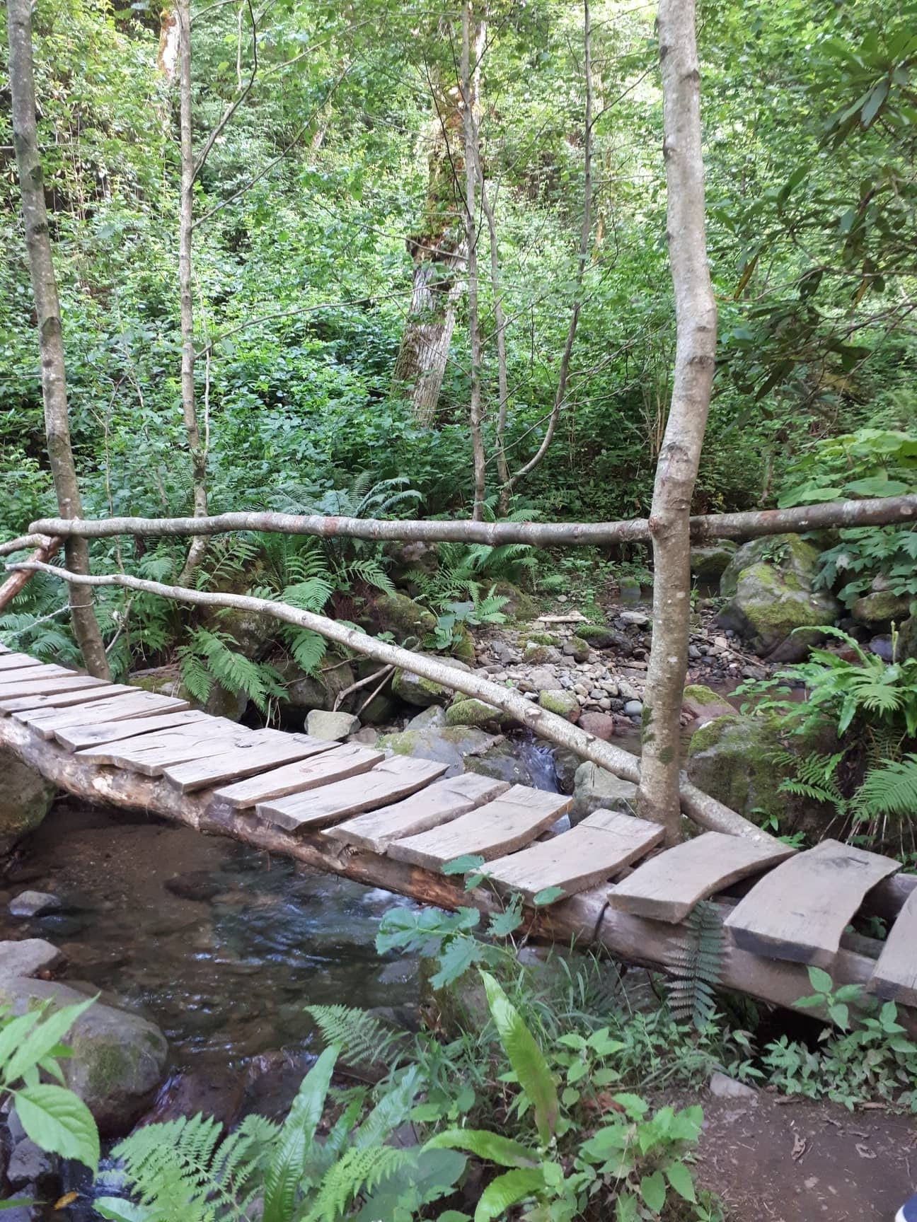 Wooden footbridge over a stream in Mtirala National Park